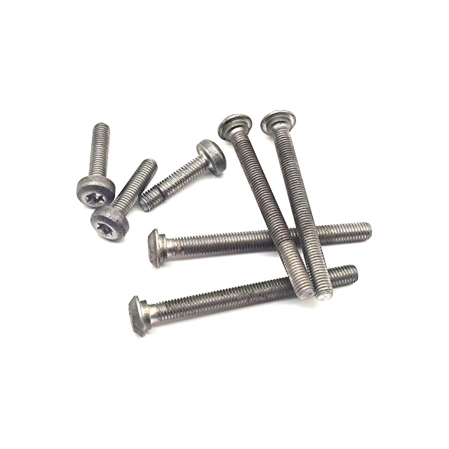 OAM Valve body screws