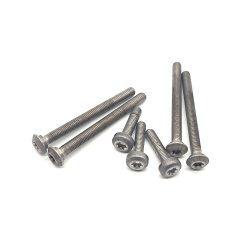 OAM Valve body screws