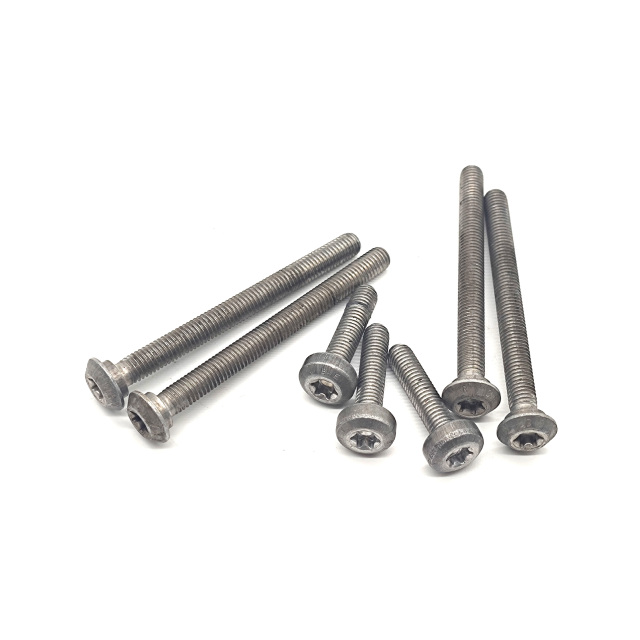 OAM Valve body screws
