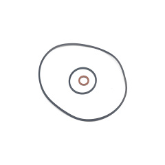 722.6 722.9 Ring Kit