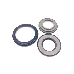 018CHA Piston Kit