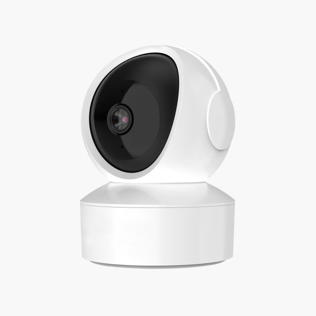 4MP 5GHz & 2.4GHz Wireless PTZ House Camera