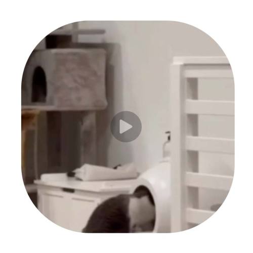 【Доставка по Москве в течение 48 часов】Полностью автоматический интеллектуальный кошачий туалет с приложением, обеспечивает дезодорацию и стерилизацию, автоматическую уборку