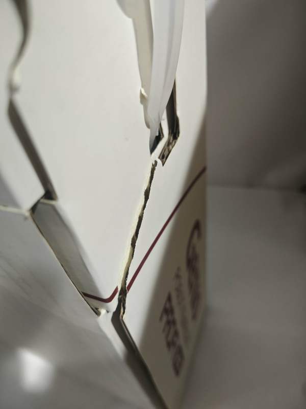 Робот пылесос Genio Profi 290 с влажной и сухой уборкой белый, беспроводной, аккумуляторный, моющий с контейнером для воды, пылесборником, hepa фильтром, турбо щеткой / 120 мин работы