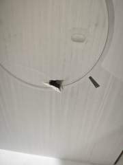 Робот пылесос Genio Profi 290 с влажной и сухой уборкой белый, беспроводной, аккумуляторный, моющий с контейнером для воды, пылесборником, hepa фильтром, турбо щеткой / 120 мин работы