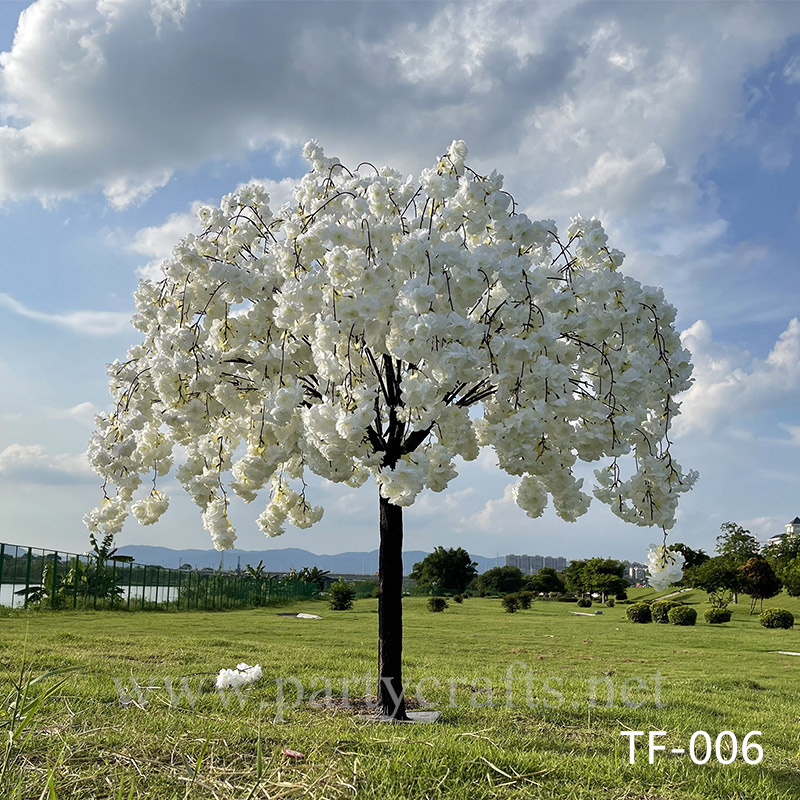 cherry blossom tree (TF-006)