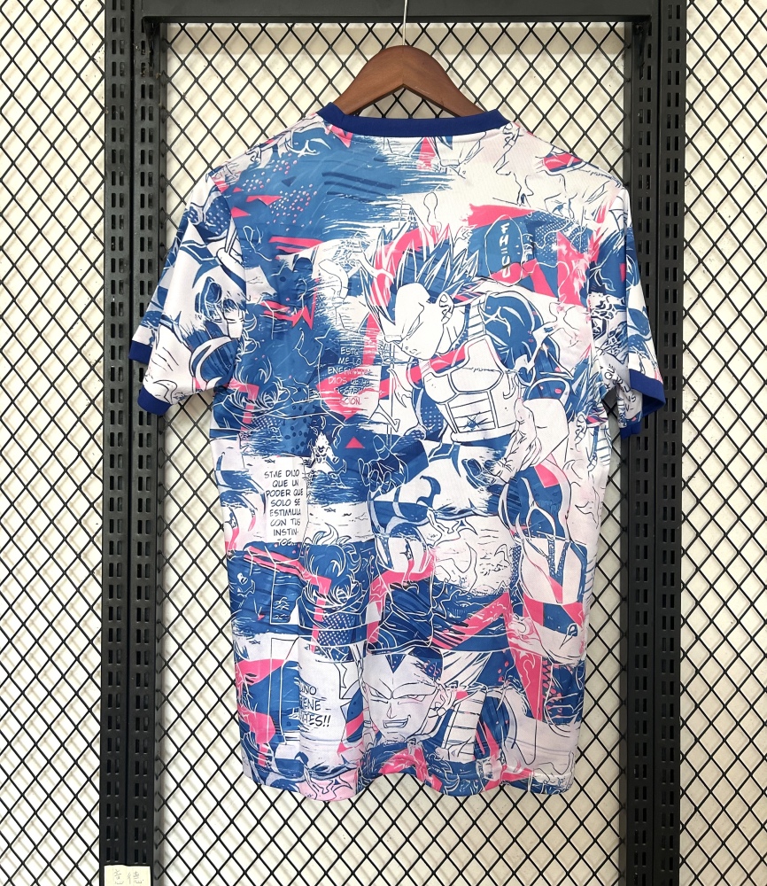 25-26 Especial Japón