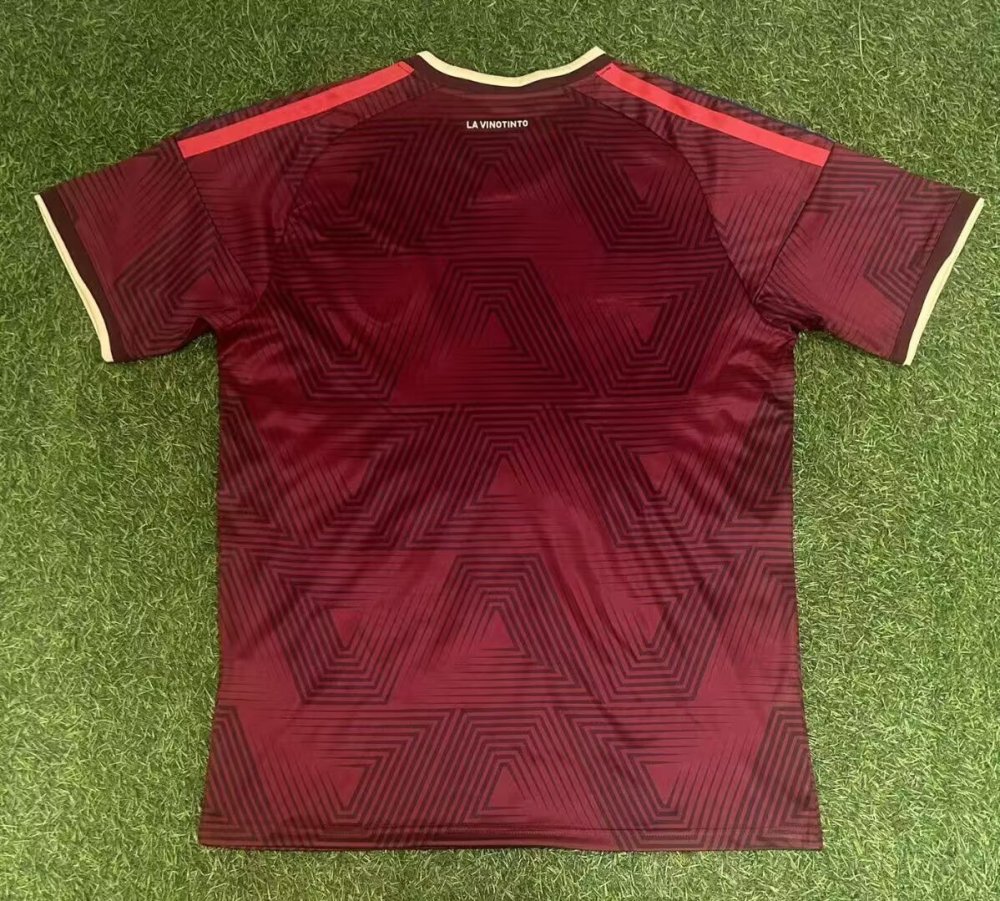 Camiseta de la selección venezolana 2627