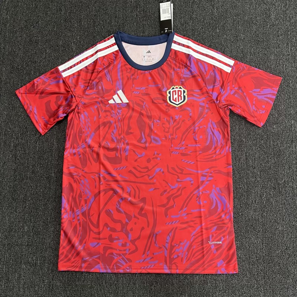Estadio local de Costa Rica 2026