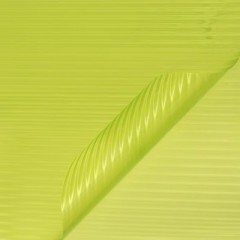 ライムグリーン
