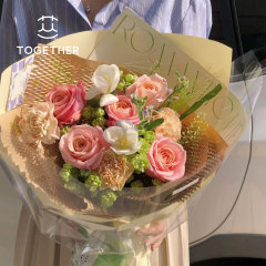 メッシュ紙