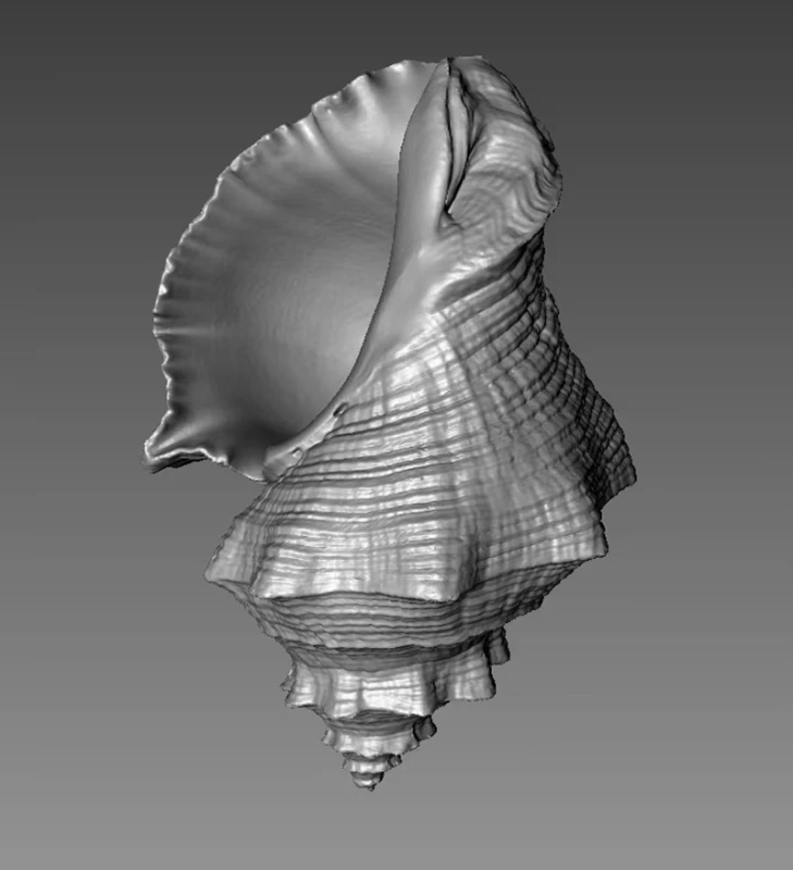 Innovative Solutions for Product Development and CAD Engineering Services，3d modeling,zbrush,3d printing,sculpt