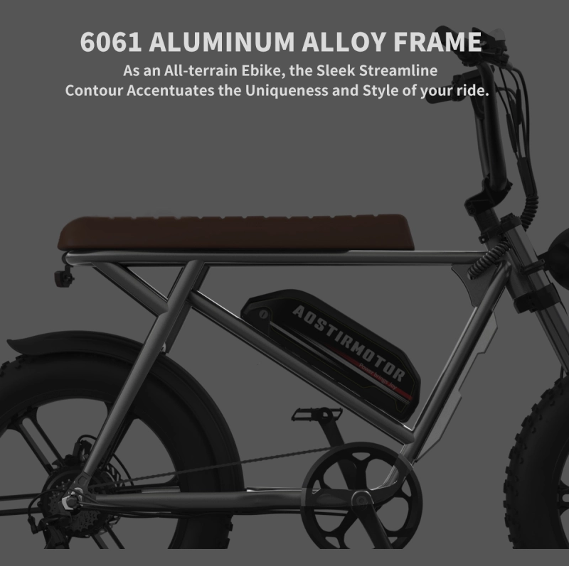New Pattern Electric Bicycle 750W Motor 20" Fat Tire With 48V 13AH Li-Battery