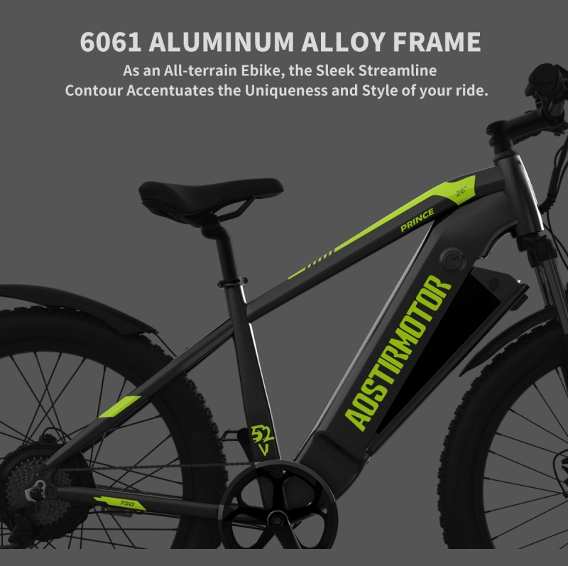 26" 750W Electric Bike Fat Tire 52V15AH Removable Lithium Battery for Adults
