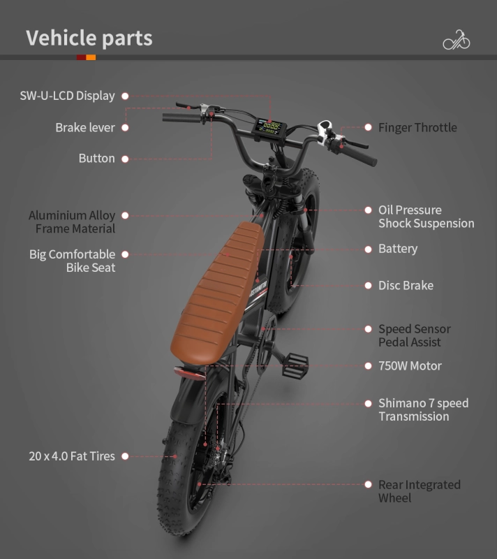 New Pattern Electric Bicycle 750W Motor 20" Fat Tire With 48V 13AH Li-Battery