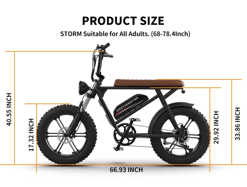 New Pattern Electric Bicycle 750W Motor 20" Fat Tire With 48V 13AH Li-Battery