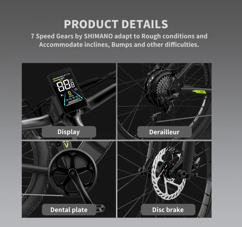 26" 750W Electric Bike Fat Tire 52V15AH Removable Lithium Battery for Adults