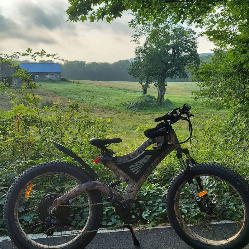 S18-1500W 26" 1500W Electric Bike Fat Tire 48V 15AH Removable Lithium Battery Mountain Bicycle Shimanos Bicycle Full Suspension MTB Bikes for Adults