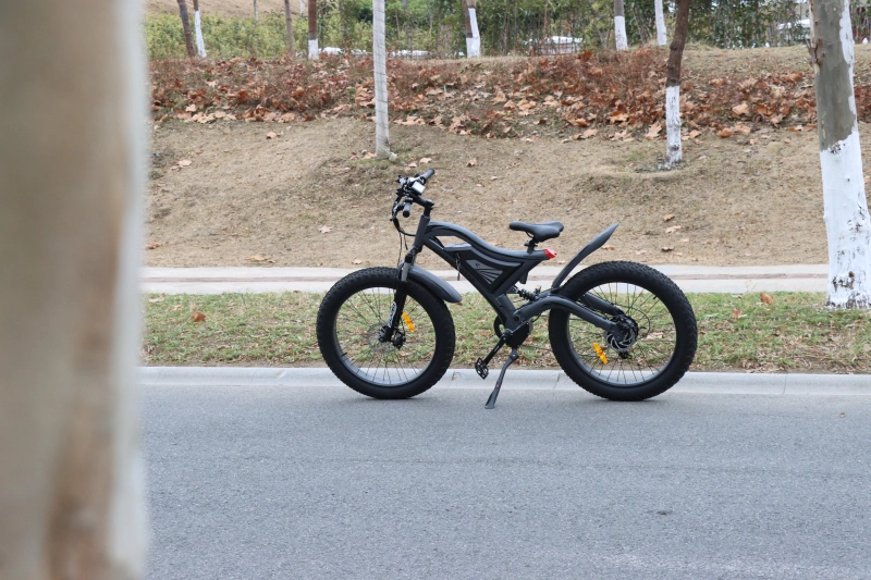 S18 26" 750W Electric Bike Fat Tire 48V 15AH Removable Lithium Battery for Adults
