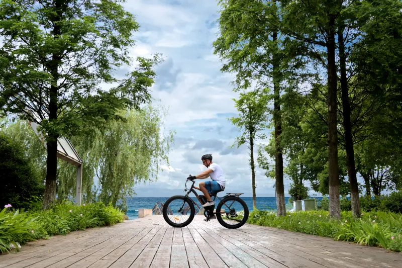 S07-B 26" 750W Electric Bike Fat Tire P7 48V 12.5AH Removable Lithium Battery for Adults with Detachable Rear Rack Fender(Black)