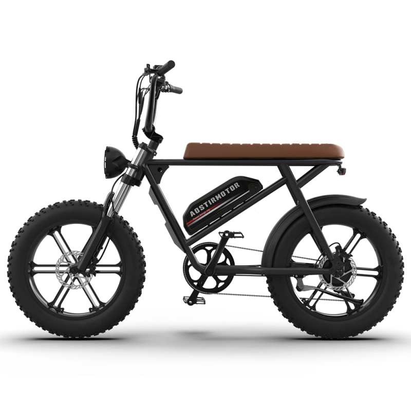 New Pattern Electric Bicycle 750W Motor 20" Fat Tire With 48V 13AH Li-Battery