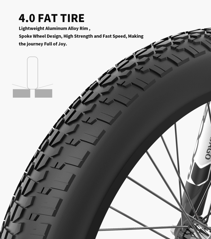Electric Bicycle 500W Motor 20" Fat Tire With 48V/15Ah Li-Battery S18-MINI New style