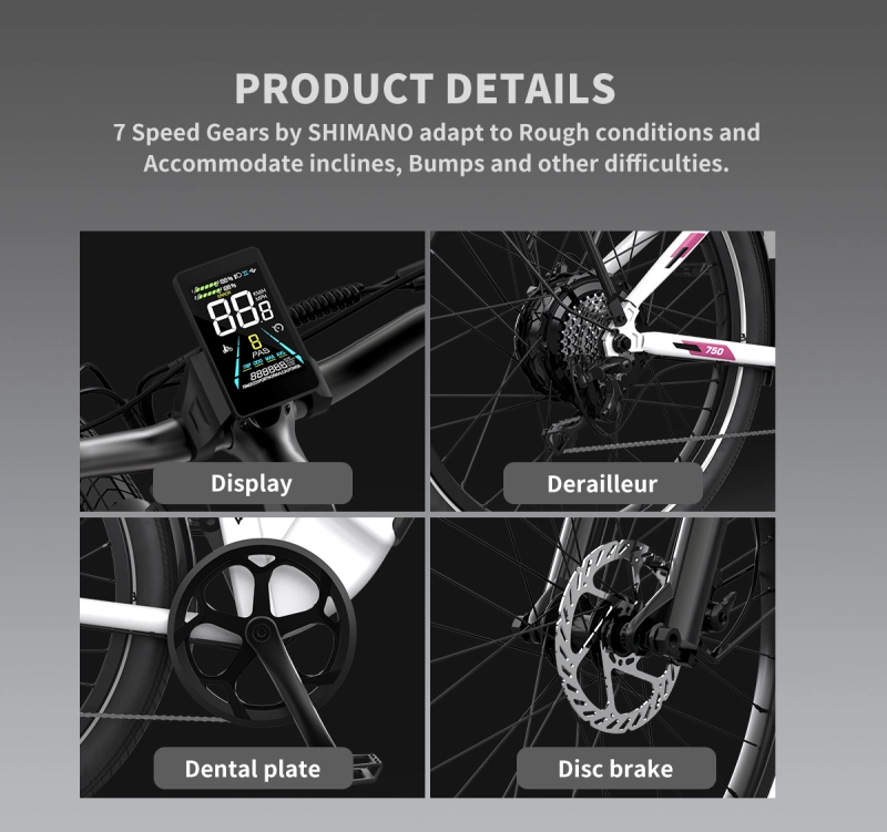 26" 750W Electric Bike Fat Tire 52V15AH Removable Lithium Battery for Adults
