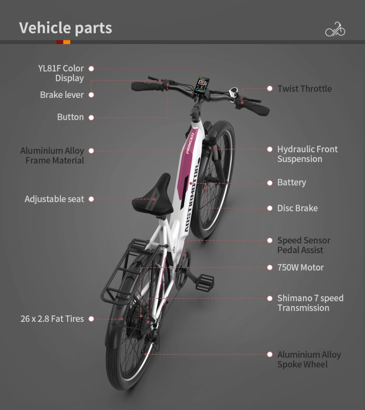 26" 750W Electric Bike Fat Tire 52V15AH Removable Lithium Battery for Adults