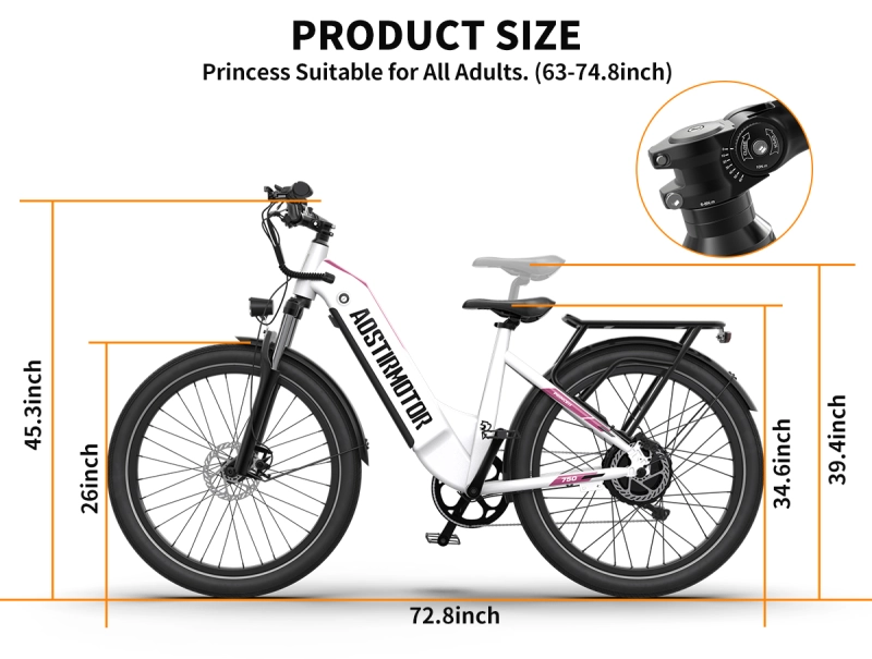 26" 750W Electric Bike Fat Tire 52V15AH Removable Lithium Battery for Adults