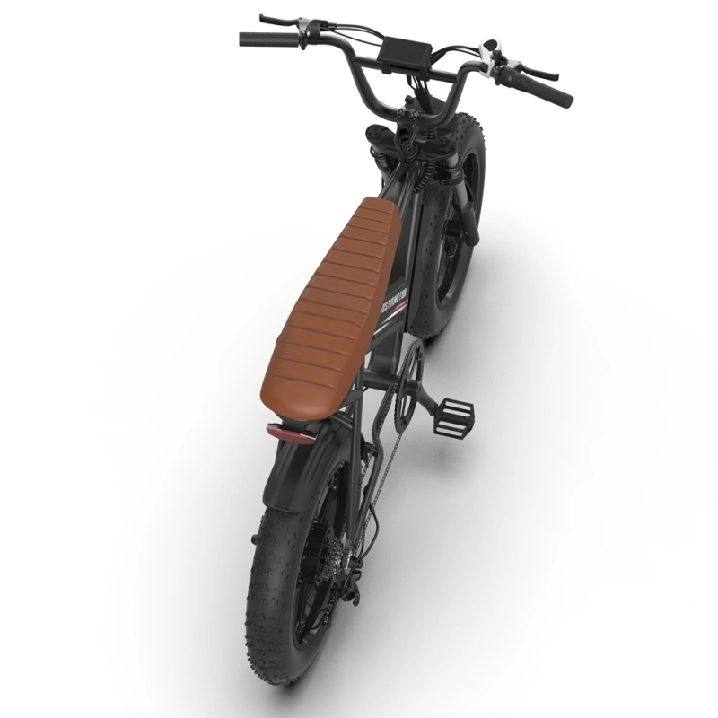 New Pattern Electric Bicycle 750W Motor 20" Fat Tire With 48V 13AH Li-Battery