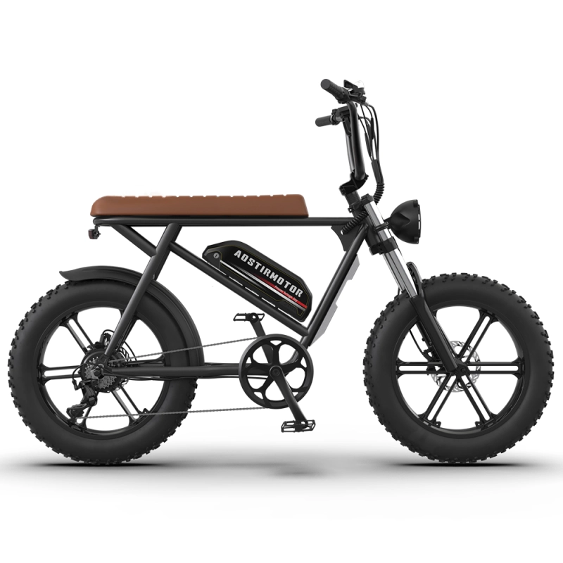 New Pattern Electric Bicycle 750W Motor 20" Fat Tire With 48V 13AH Li-Battery
