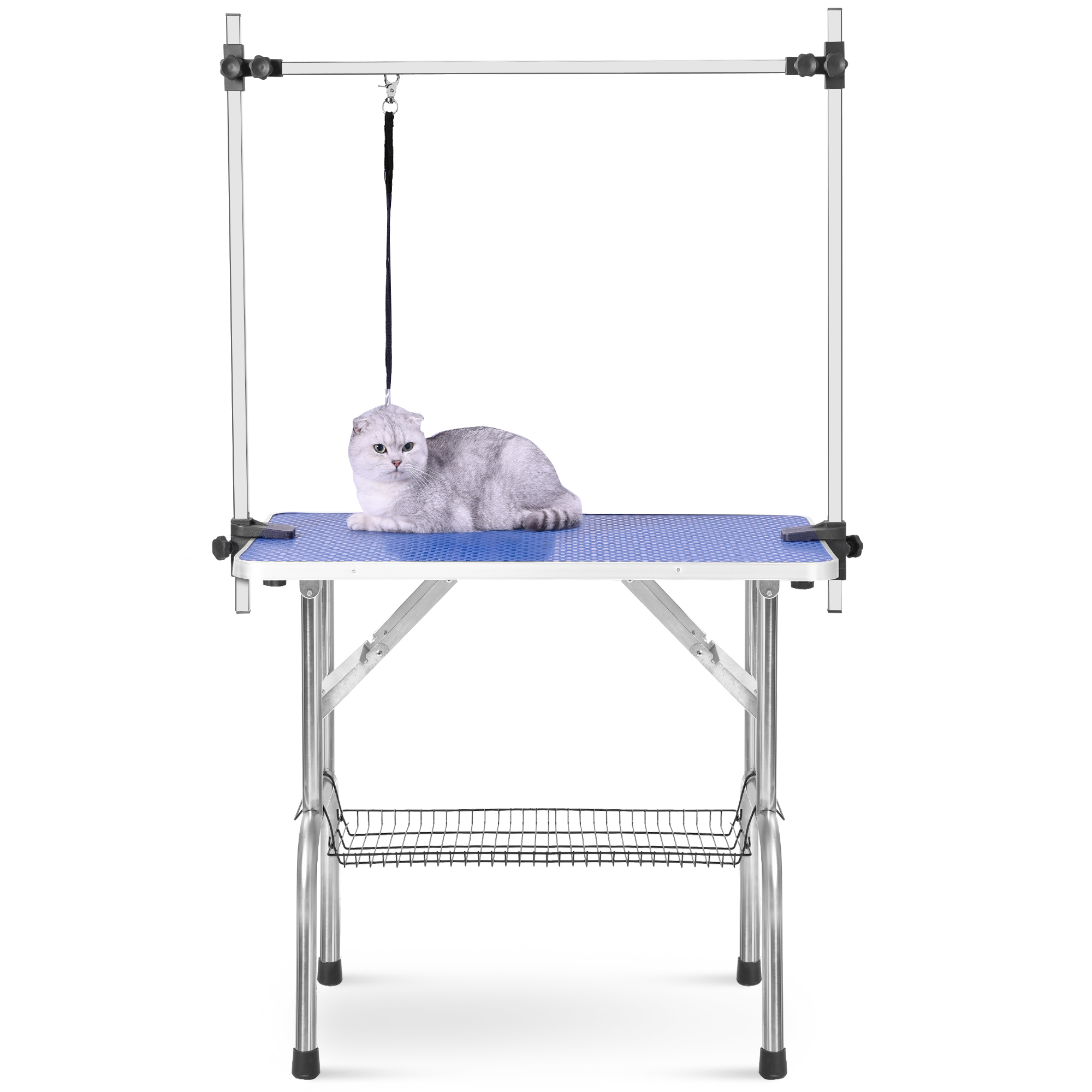Professional Pet Grooming Table Blue