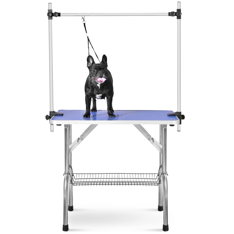 Professional Pet Grooming Table Blue