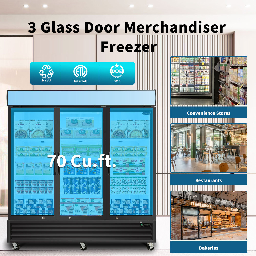 70-cu ft Frost-free Commercial Freezer (Black) ENERGY STAR