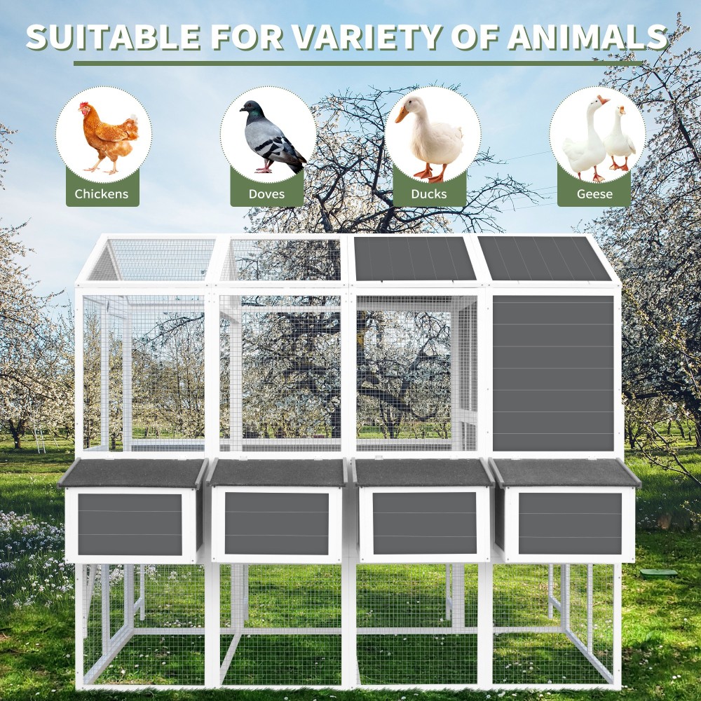 Chicken Coop with Nesting Boxes