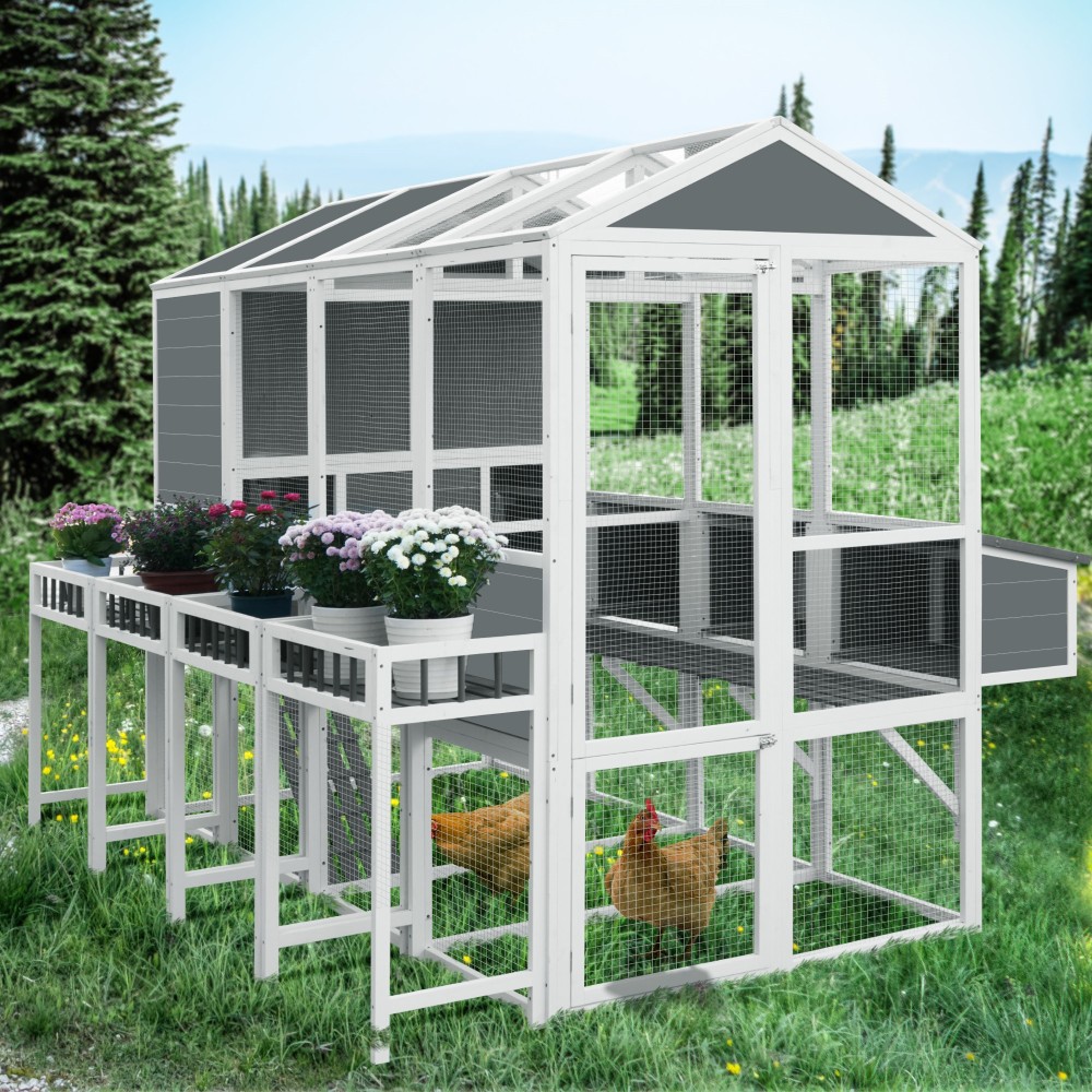 Chicken Coop with Nesting Boxes