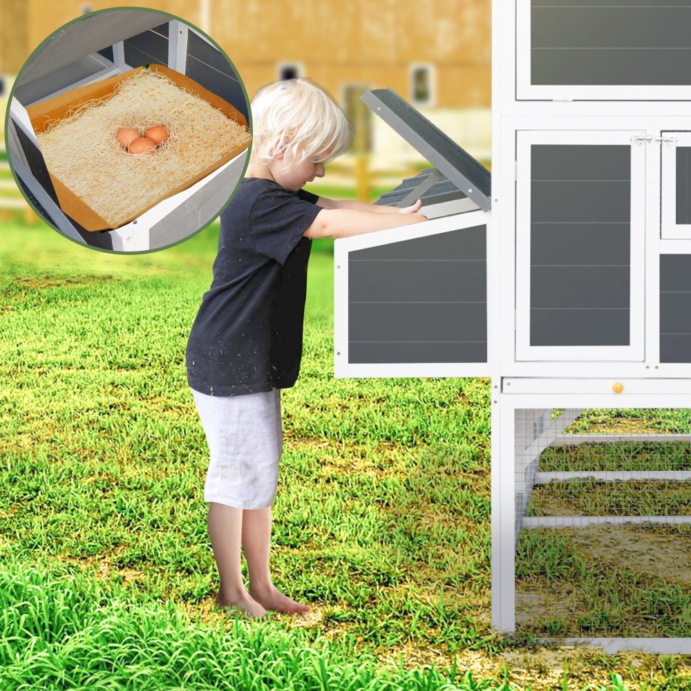 Chicken Coop with Nesting Boxes