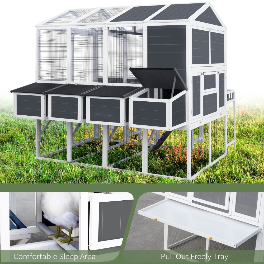 Chicken Coop with Nesting Boxes