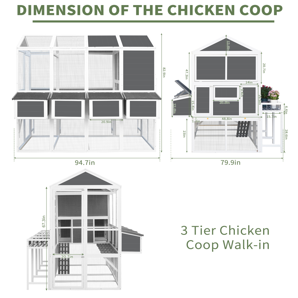 Chicken Coop with Nesting Boxes