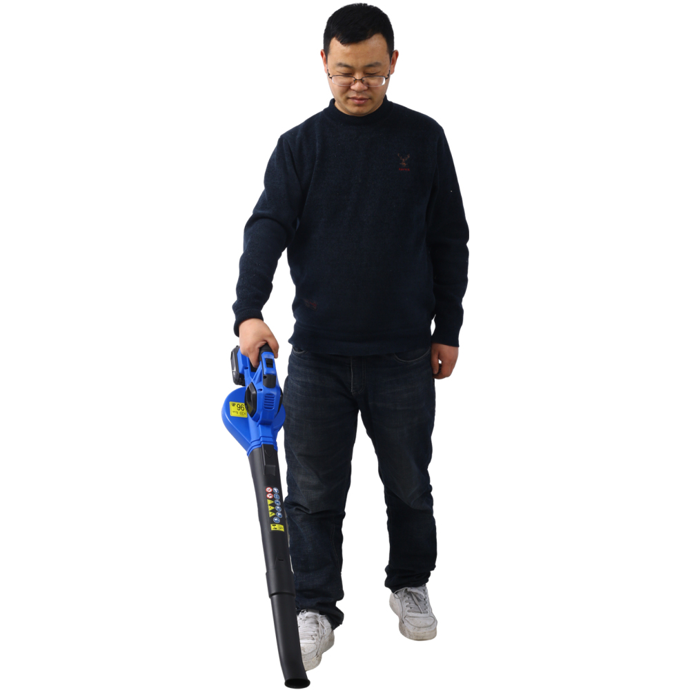 20V Battery Powered Leaf Blowers