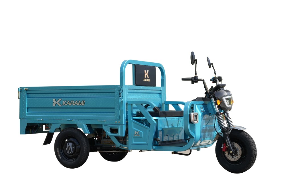 1200W Electric Tricycle for Adult(Green)