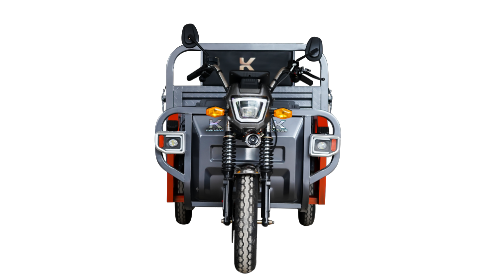 1200W Electric Tricycle for Adult(Gray)