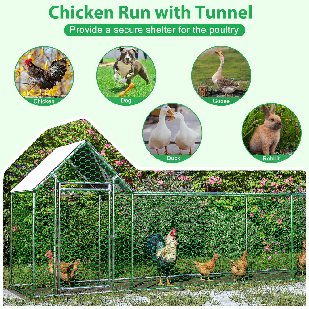 3.5'W x 16'L x 5'H Large metal chicken coop