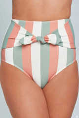 Multicolor Stripes Print Front Tie High Waist Bikini Bottoms LC472107-19