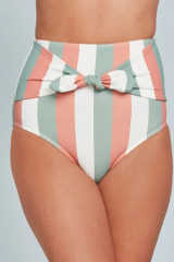 Multicolor Stripes Print Front Tie High Waist Bikini Bottoms LC472107-19