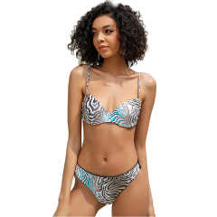 Silver Printed 2pcs Bikini Set TQK610236-13