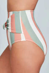 Multicolor Stripes Print Front Tie High Waist Bikini Bottoms LC472107-19