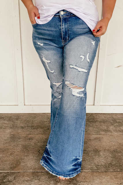 Sky Blue Plus Size Distressed Flare Jeans PL787012-4
