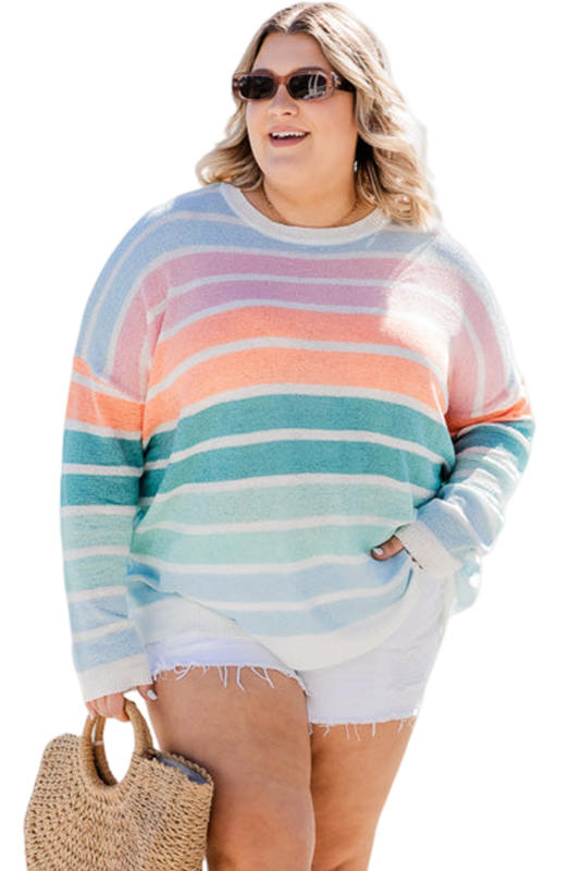 Multicolor Striped Long Sleeve Crewneck Plus Size Sweater PL272130-22