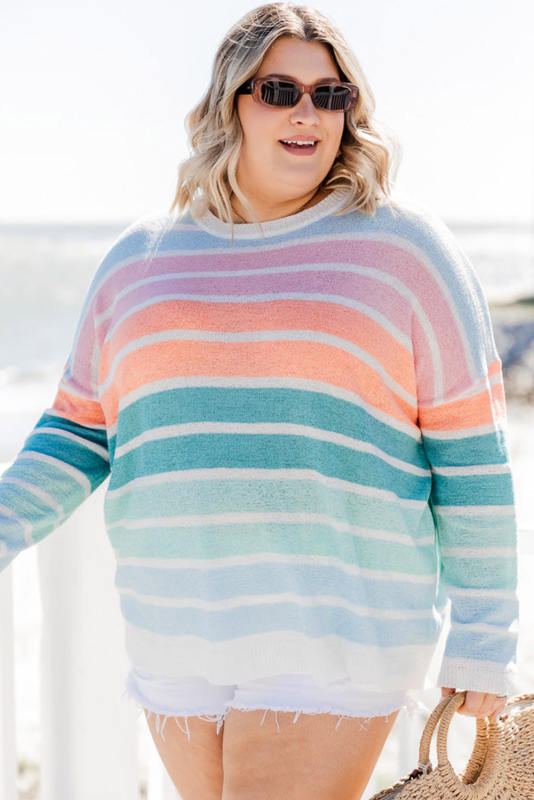 Multicolor Striped Long Sleeve Crewneck Plus Size Sweater PL272130-22